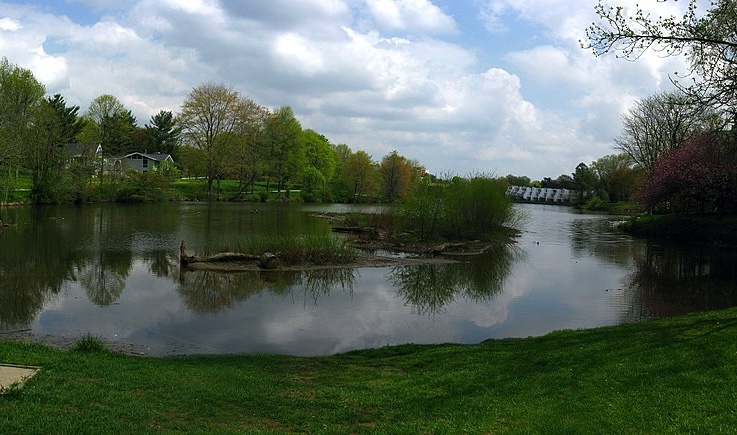 Wilde Lake water and trees - Columbia Maryland